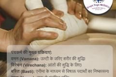 divya  yoga wellness