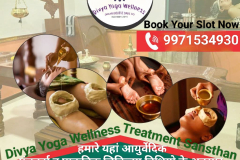 divya  yoga wellness