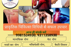 divya  yoga wellness