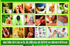 divya  yoga wellness