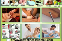 divya  yoga wellness