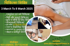 divya  yoga wellness