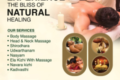 divya  yoga wellness