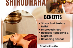 divya  yoga wellness