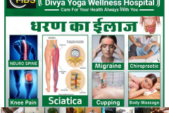 divya  yoga wellness