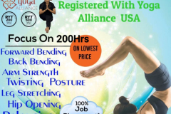 divya  yoga wellness