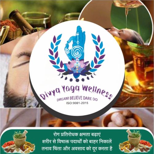 divya yoga wellness