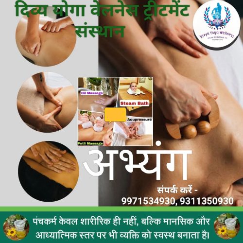 divya yoga wellness