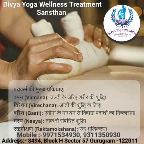 divya yoga wellness