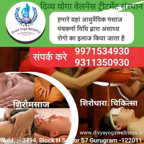 divya yoga wellness