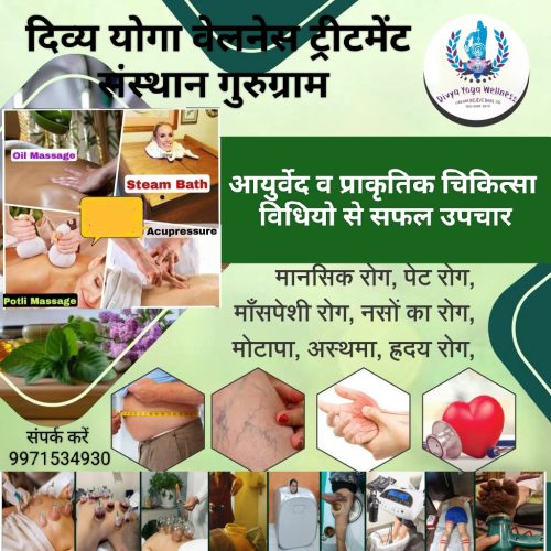 divya yoga wellness