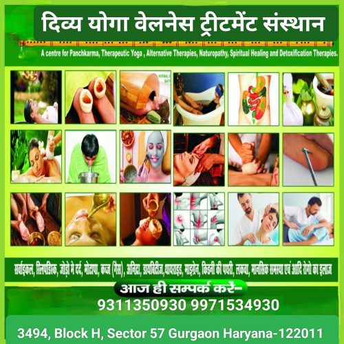 divya yoga wellness