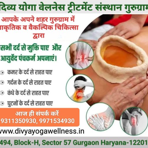 divya yoga wellness