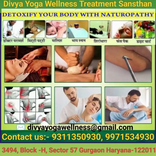 divya yoga wellness