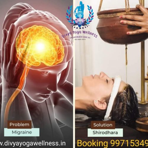 divya yoga wellness