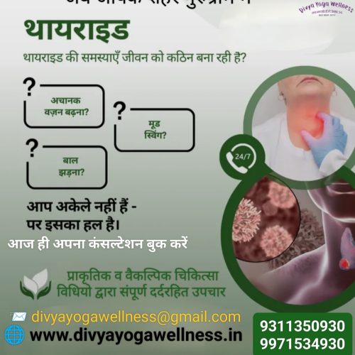 divya yoga wellness