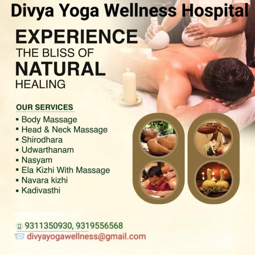 divya yoga wellness