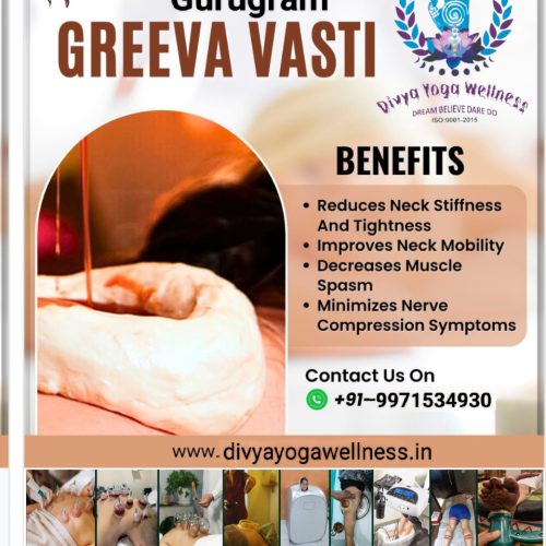 divya yoga wellness