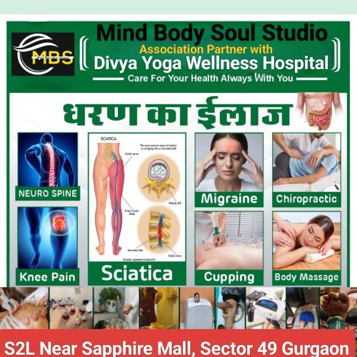 divya yoga wellness