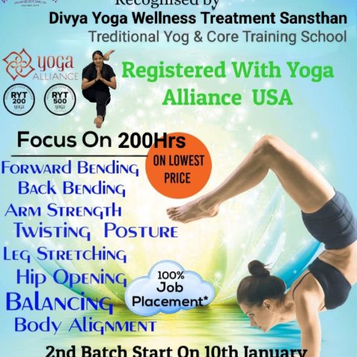 divya yoga wellness